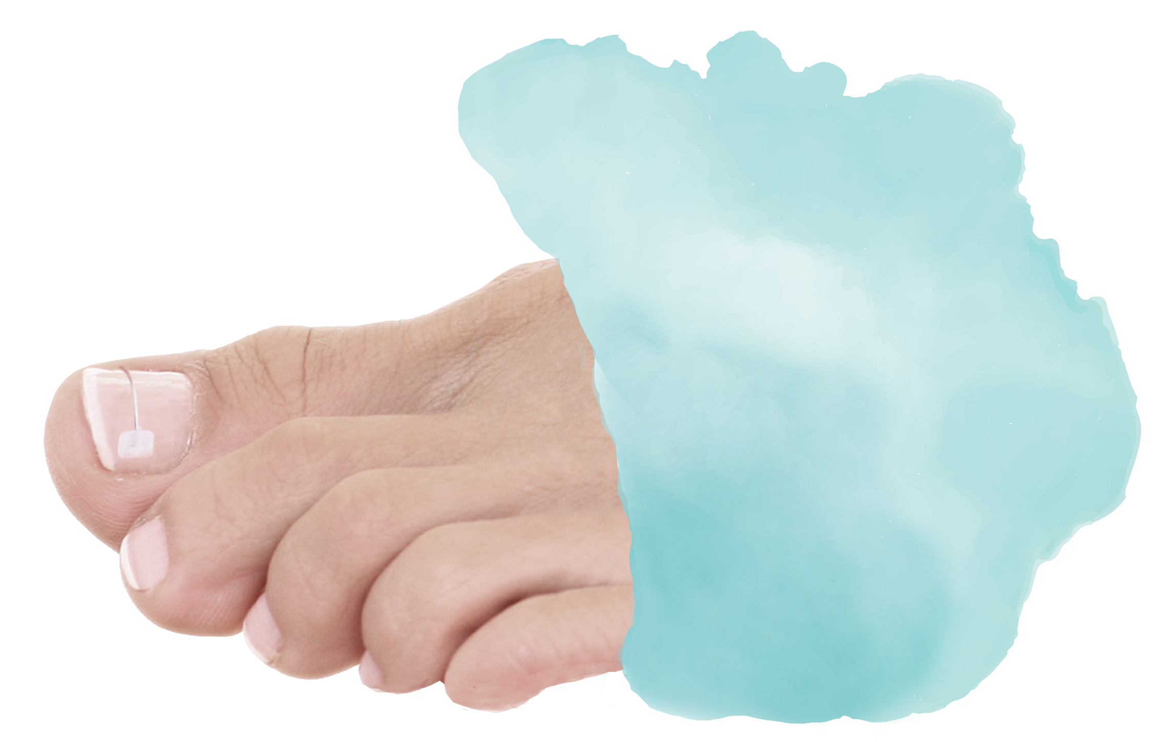 ¿Qué podemos hacer por ti?